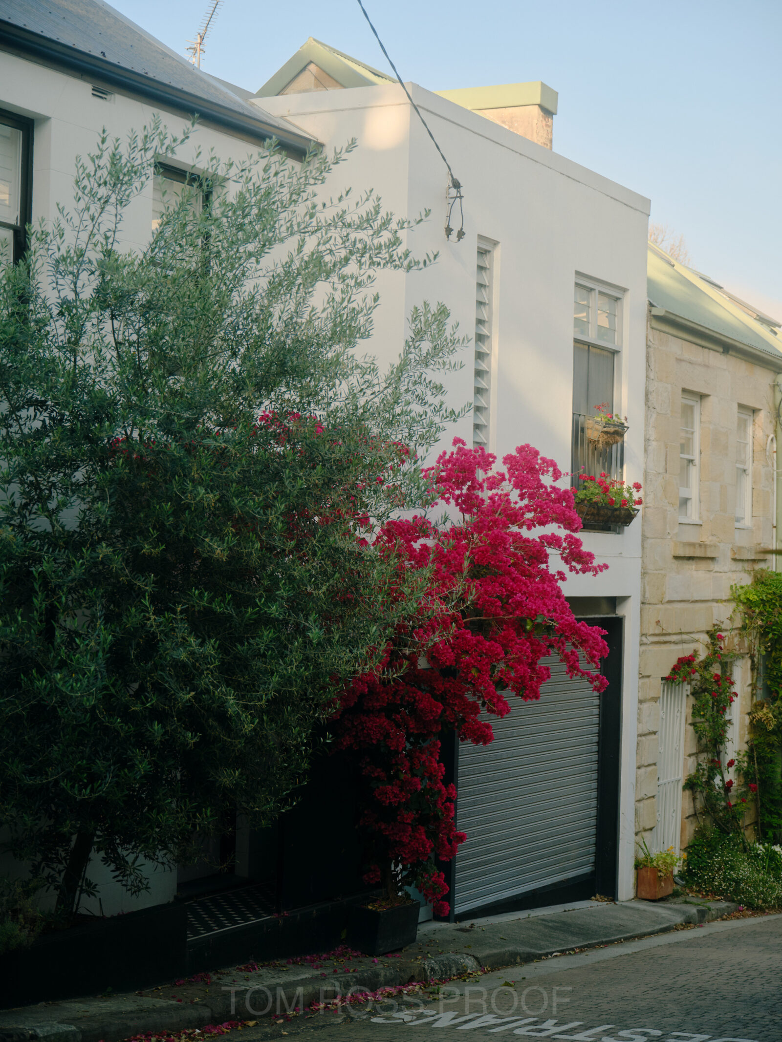 Holiday Hours in the House